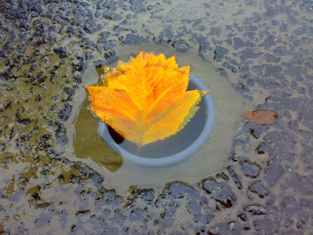 Отверстие для монтажа анкерных парковочных столбиков Отверстие для монтажа анкерных парковочных столбиков