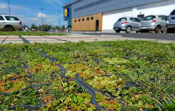 Газонная решетка с наполнителем для оформления парковки