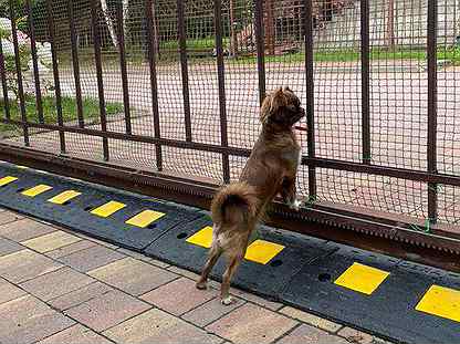 Защита просвета между воротами с помощью лежачего полицейского