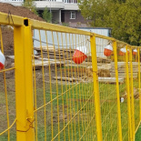 Вся правда о сигнальных дорожных фонарях