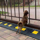 Занижение просвета распашных и раздвижных ворот