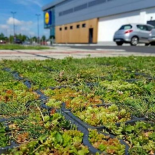 Как правильно выбрать наполнитель экопарковки